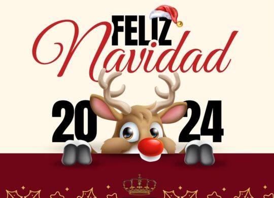 Programa Navidad
