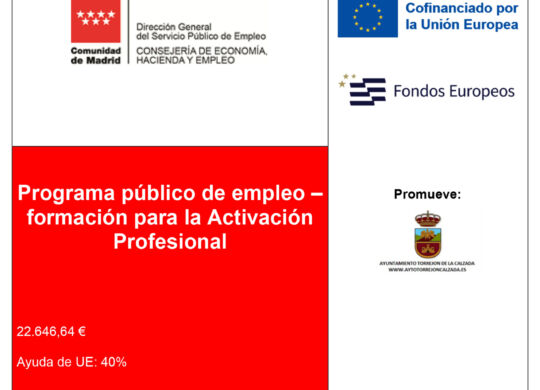Programa publico de empleo