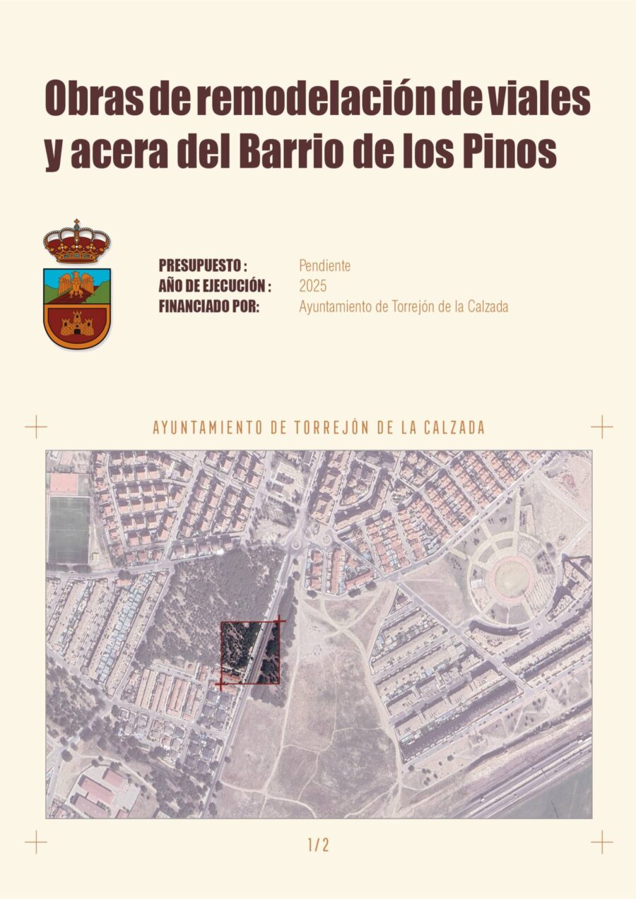 Obras de Remodelación de viales y acera del Barrio de los Pinos