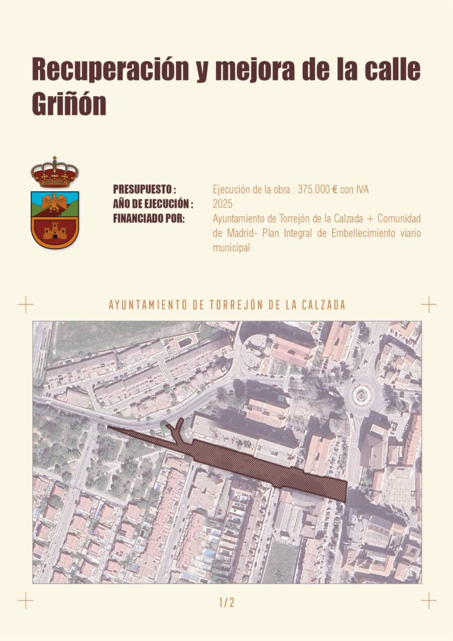 Recuperación y mejora de la Calle Griñón